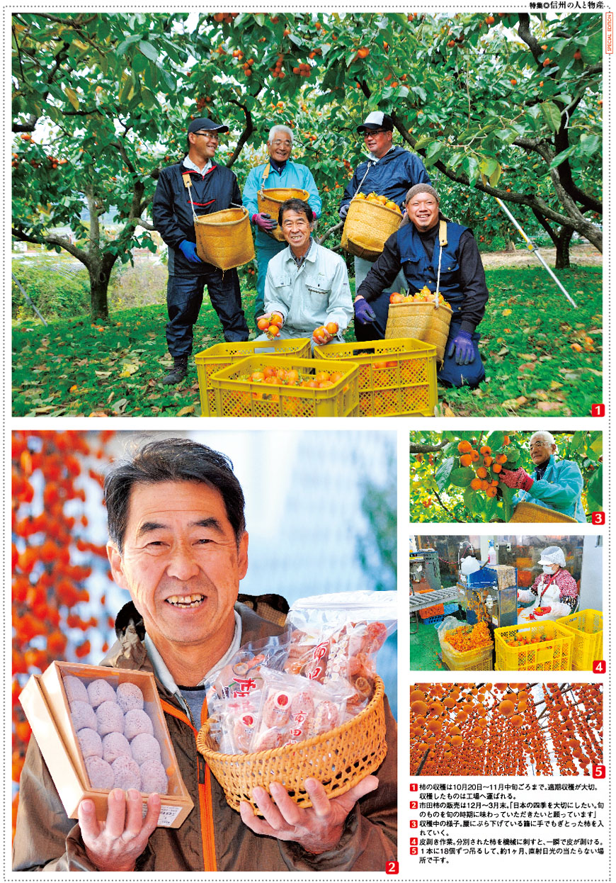 天竜産業　市田柿