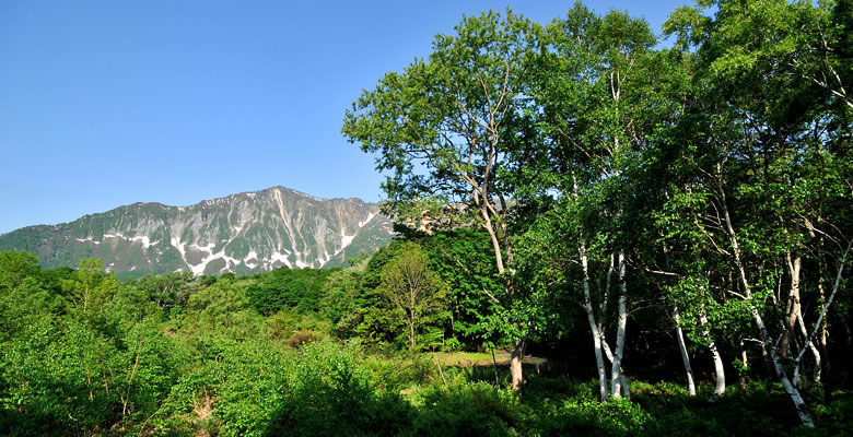 秋山郷 天池