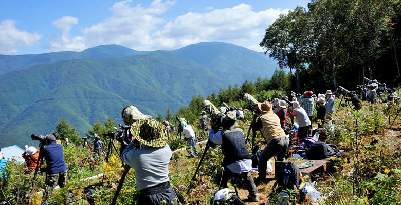 松本市奈川 タカの渡り