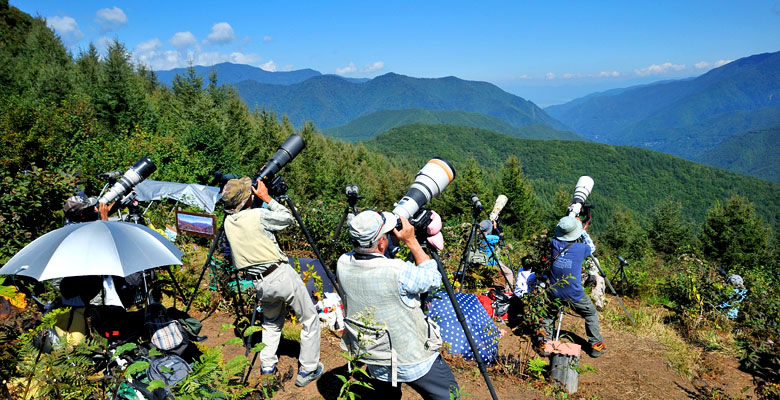 松本市奈川 タカの渡り