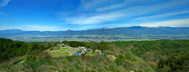 豊丘村