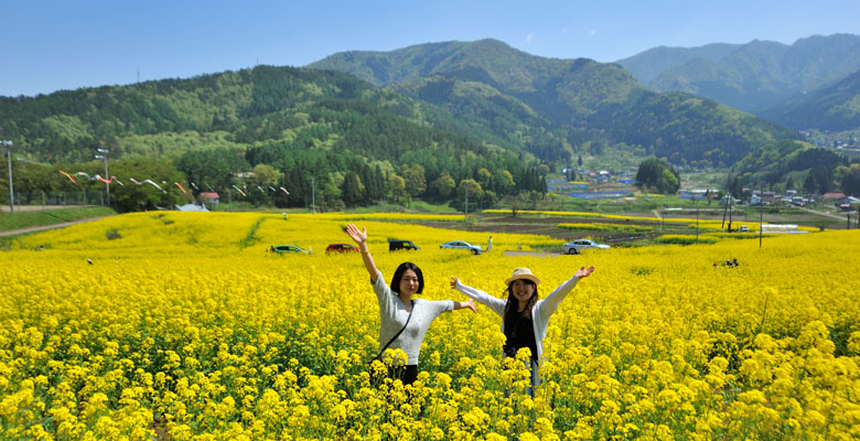 飯山市 菜の花公園