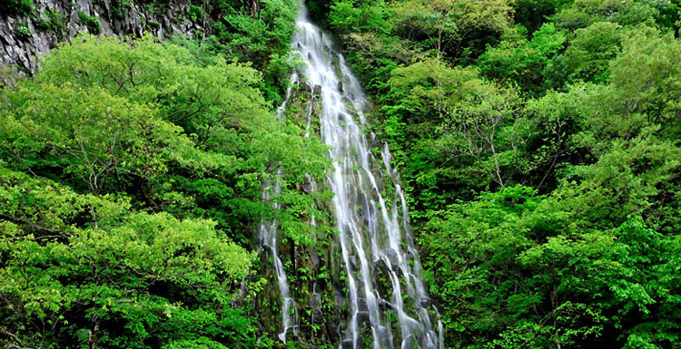 木島平村 樽滝