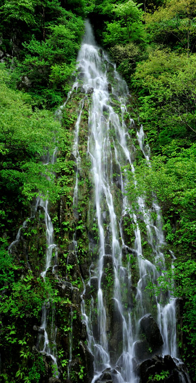 木島平村 樽滝