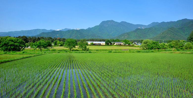 安曇野ちひろ美術館