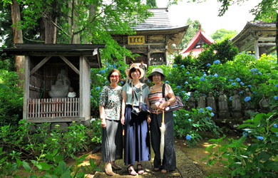 飯山市戸狩温泉 あじさい寺
