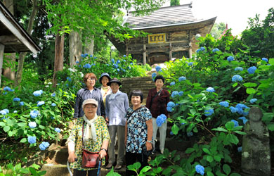 飯山市戸狩温泉 あじさい寺