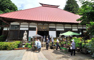 飯山市戸狩温泉 あじさい寺