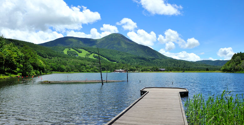 女神湖から蓼科山を臨む