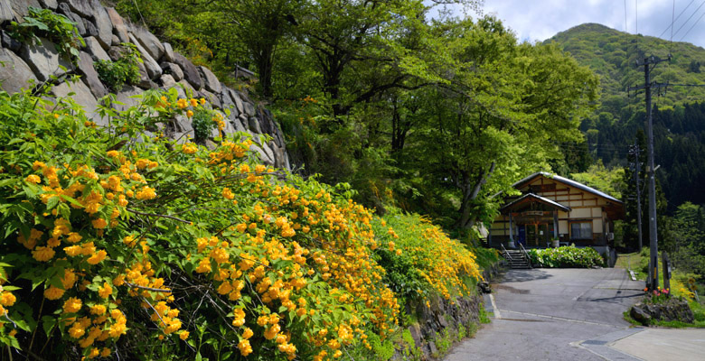 木島平村 やまぶきの里
