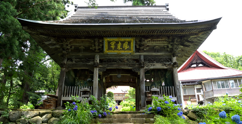 飯山市戸狩温泉 あじさい寺