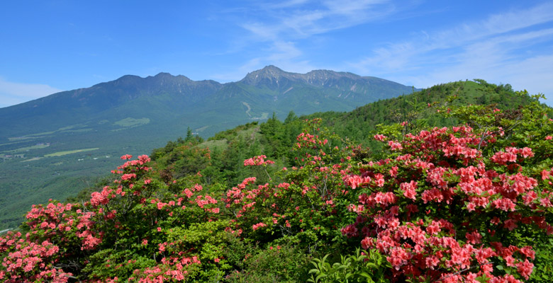 飯盛山ハイキング 八ヶ岳