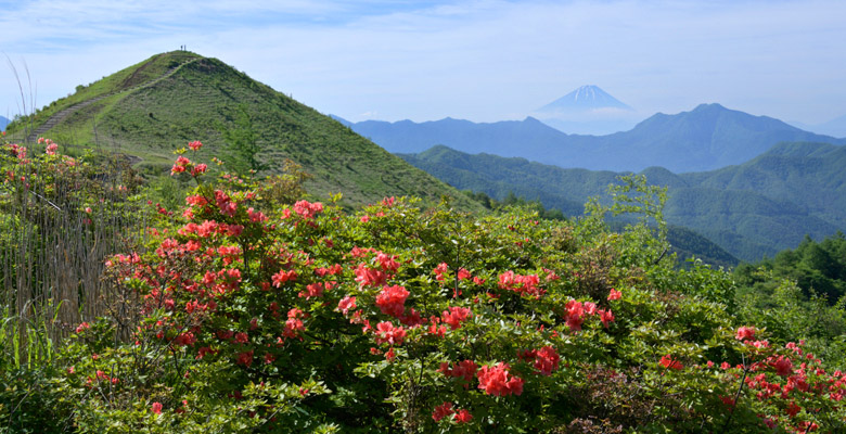 飯盛山ハイキング 富士山