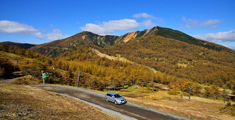 高峰高原 カラマツの紅葉