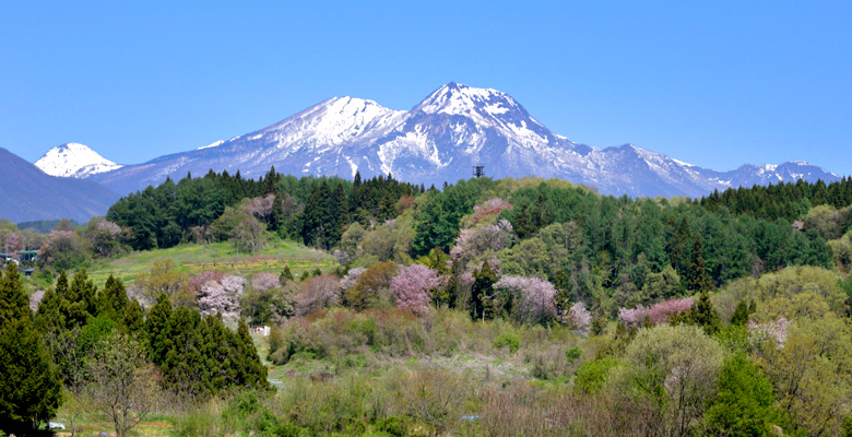 春の妙高山