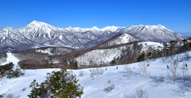 戸隠スキー場