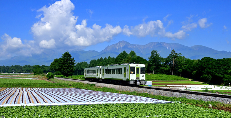 JR小海線,高原列車