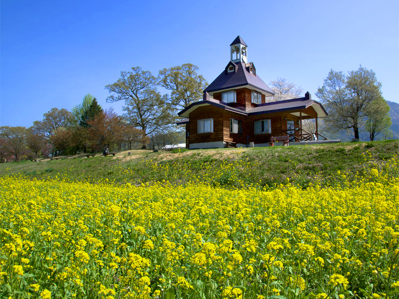 飯山市菜の花畑