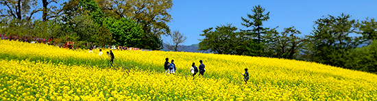 飯山線の旅,SL飯山線ロマン号2016