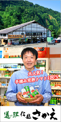 道の駅さかえ